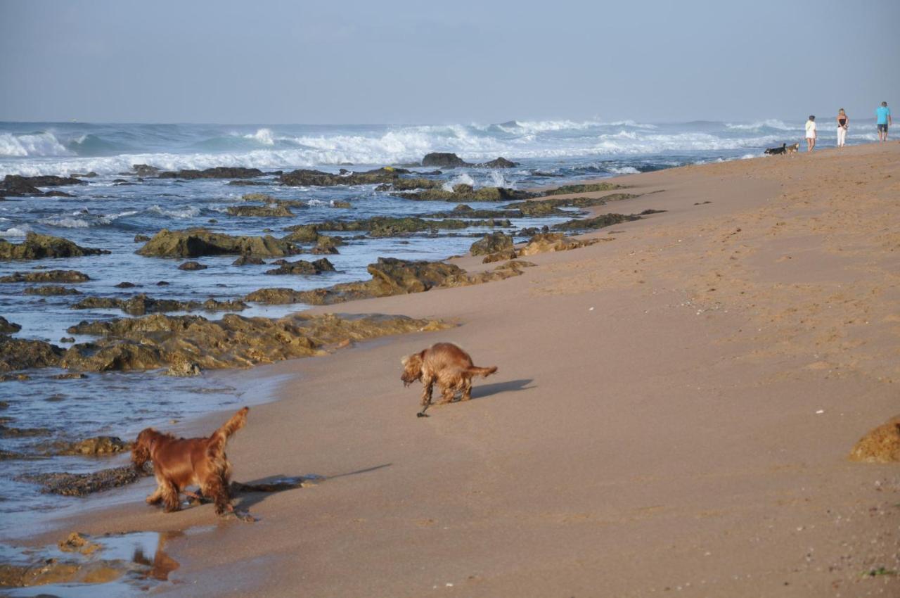 All Seasons B&B Durban Exteriér fotografie