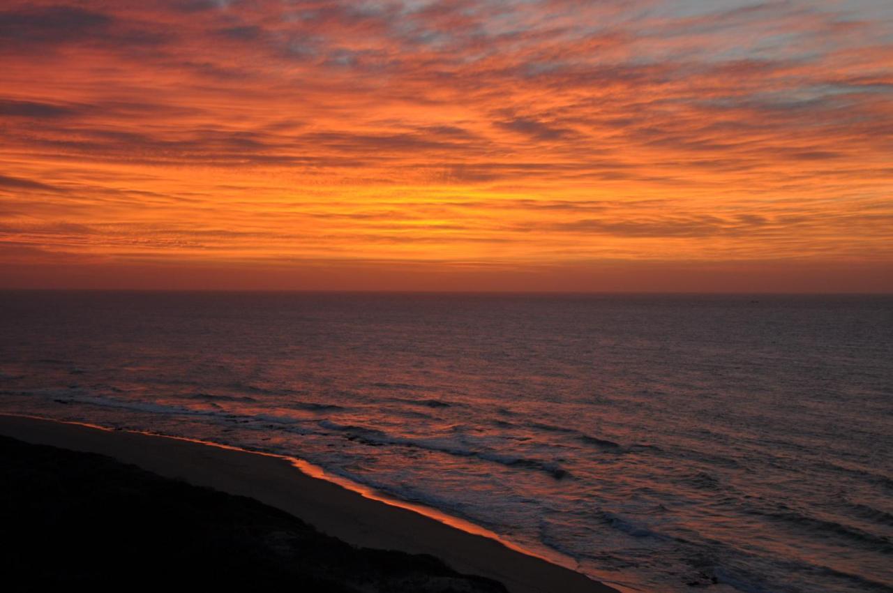 All Seasons B&B Durban Exteriér fotografie